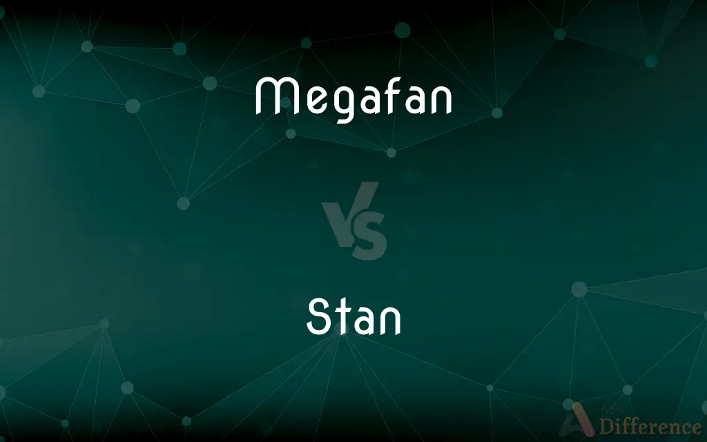 Megafan vs. Stan — What's the Difference?