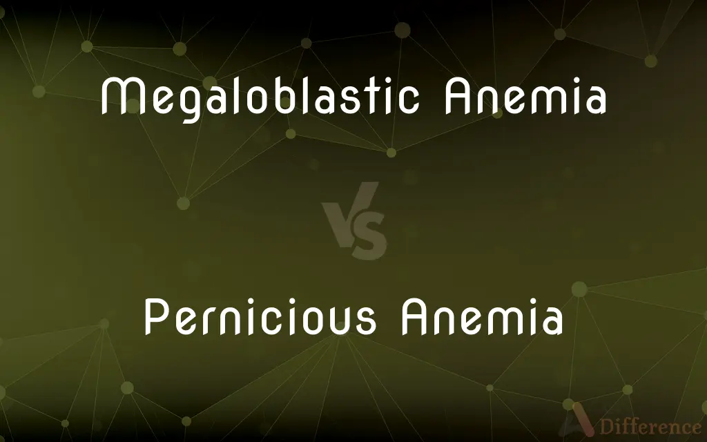 Megaloblastic Anemia vs. Pernicious Anemia — What's the Difference?