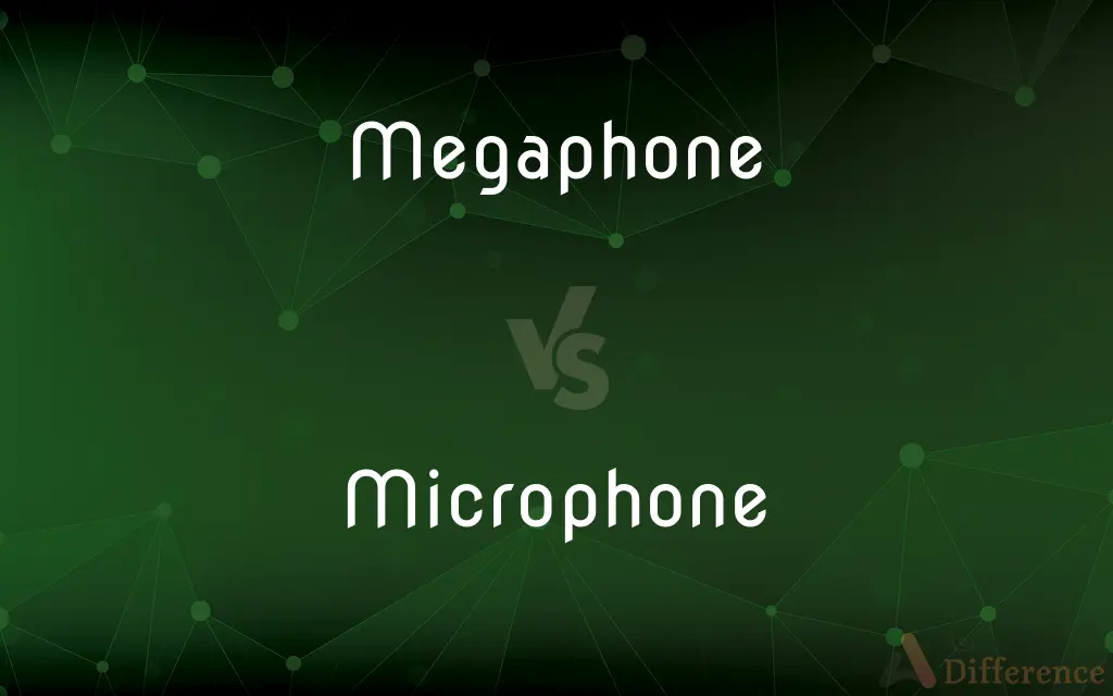 Megaphone vs. Microphone — What's the Difference?