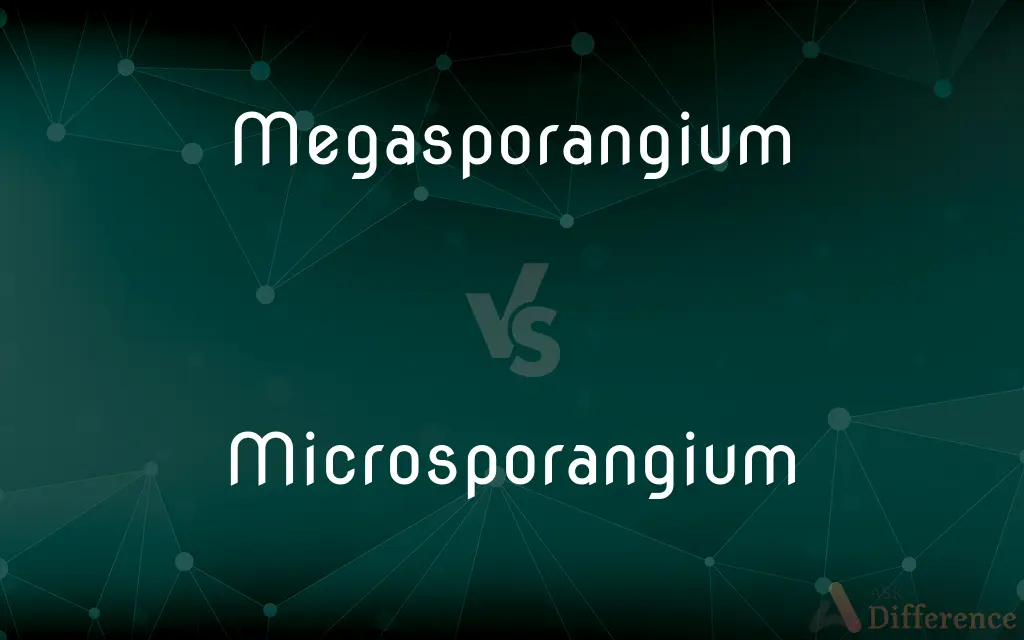Megasporangium vs. Microsporangium — What's the Difference?