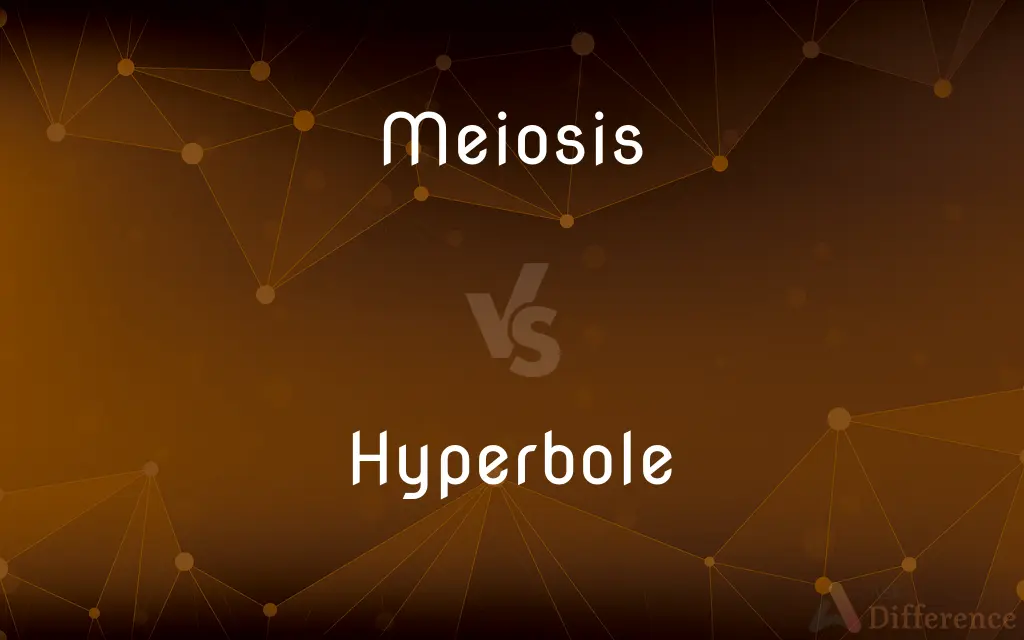 Meiosis vs. Hyperbole — What's the Difference?
