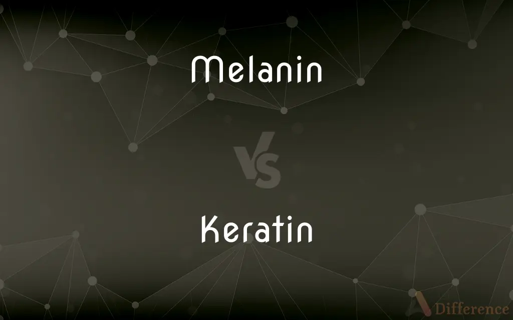 Melanin vs. Keratin — What's the Difference?