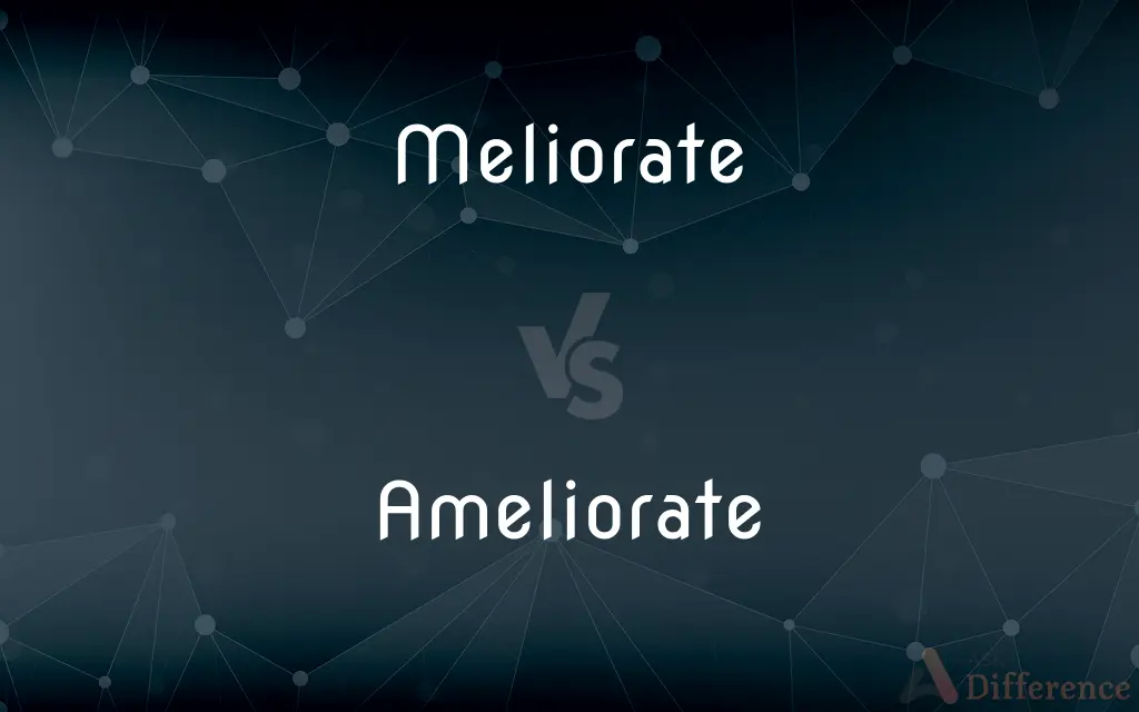 Meliorate vs. Ameliorate — What's the Difference?