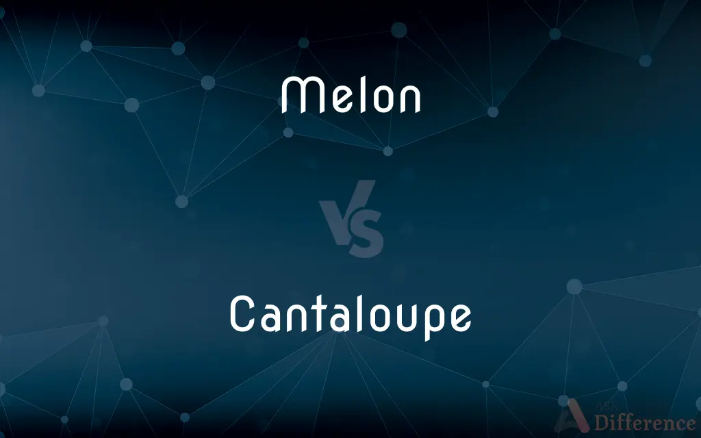 Melon vs. Cantaloupe — What's the Difference?