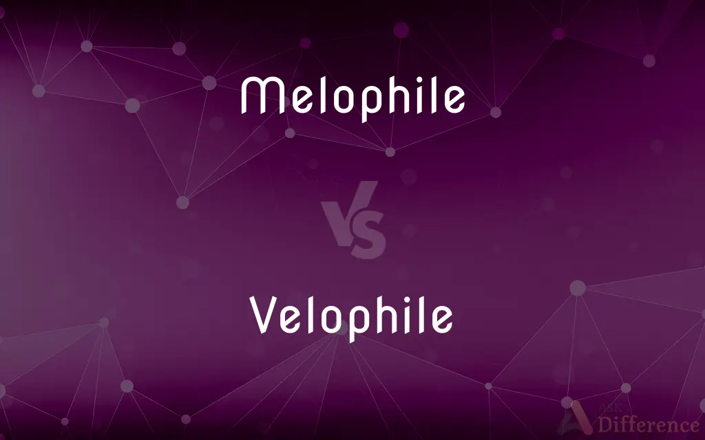 Melophile vs. Velophile — What's the Difference?