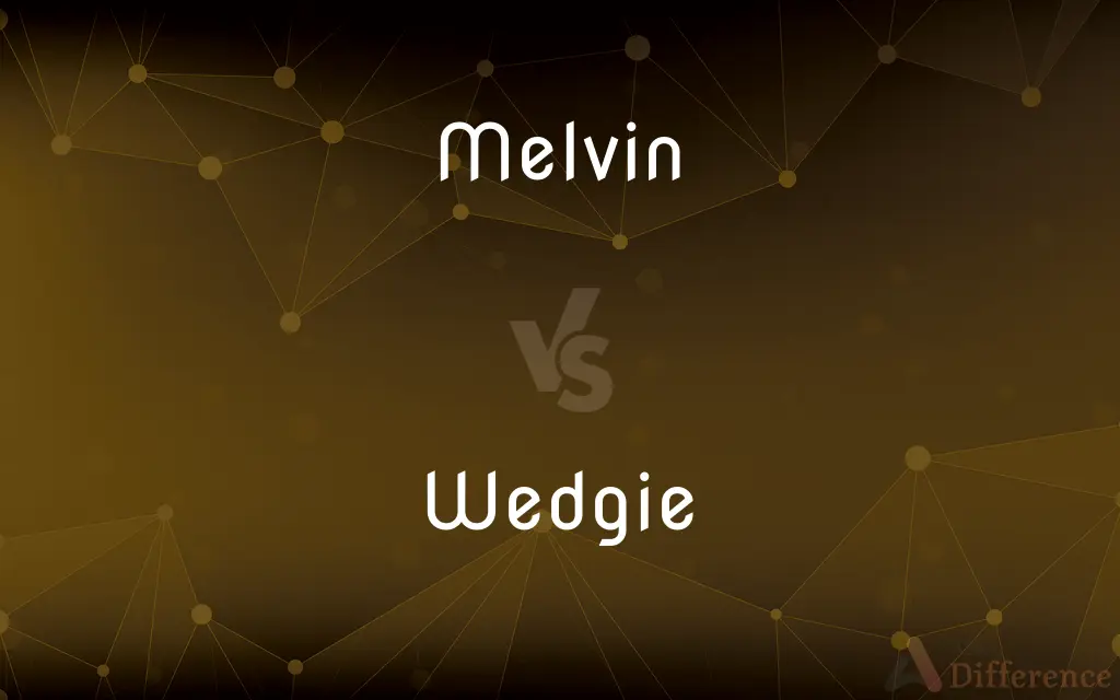 Melvin vs. Wedgie — What's the Difference?