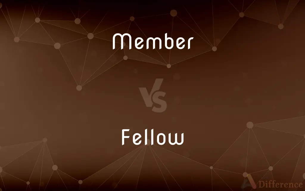 Member vs. Fellow — What's the Difference?
