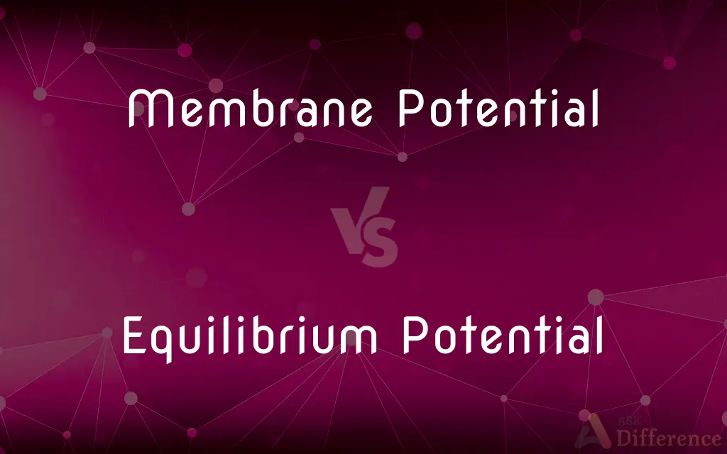 Membrane Potential vs. Equilibrium Potential — What's the Difference?