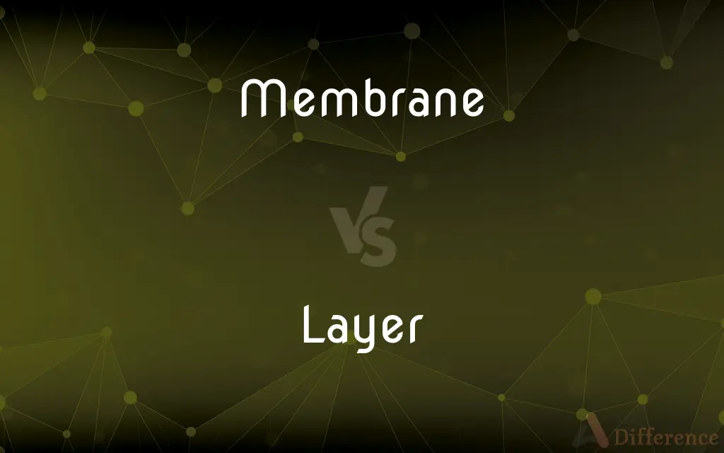 Membrane vs. Layer — What's the Difference?