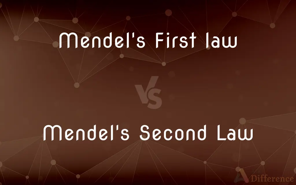 Mendel's First law vs. Mendel's Second Law — What's the Difference?