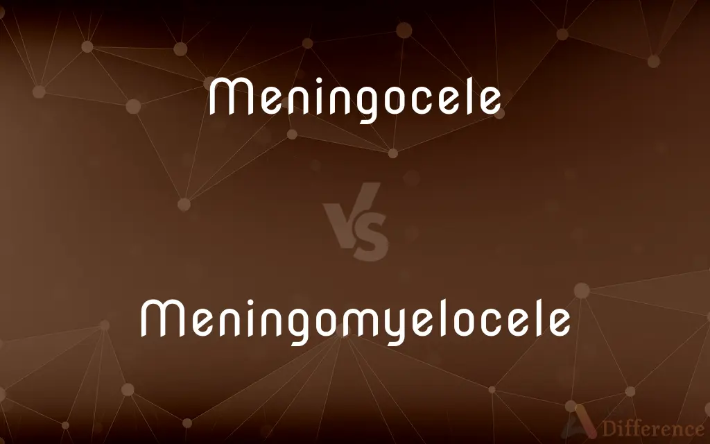 Meningocele vs. Meningomyelocele — What's the Difference?