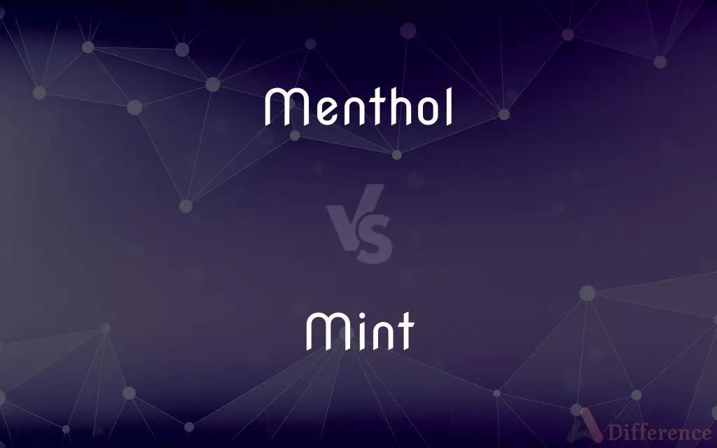 Menthol vs. Mint — What's the Difference?