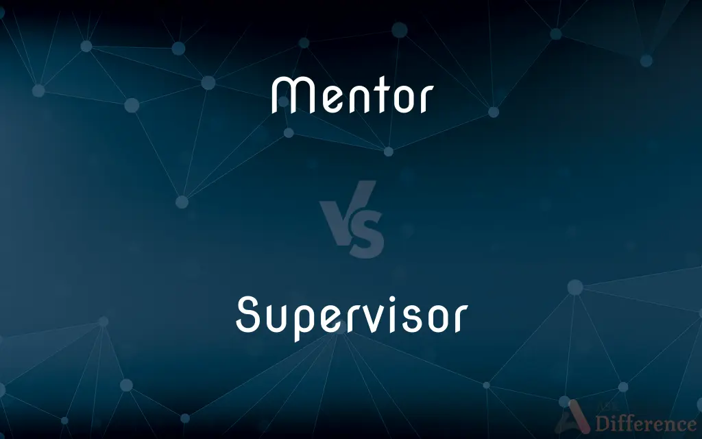 Mentor vs. Supervisor — What's the Difference?