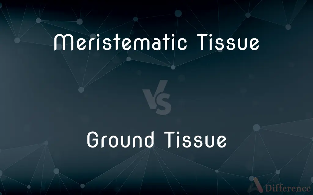 Meristematic Tissue vs. Ground Tissue — What's the Difference?