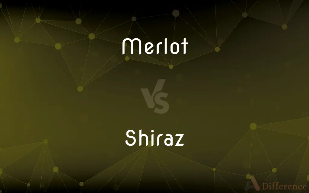 Merlot vs. Shiraz — What's the Difference?