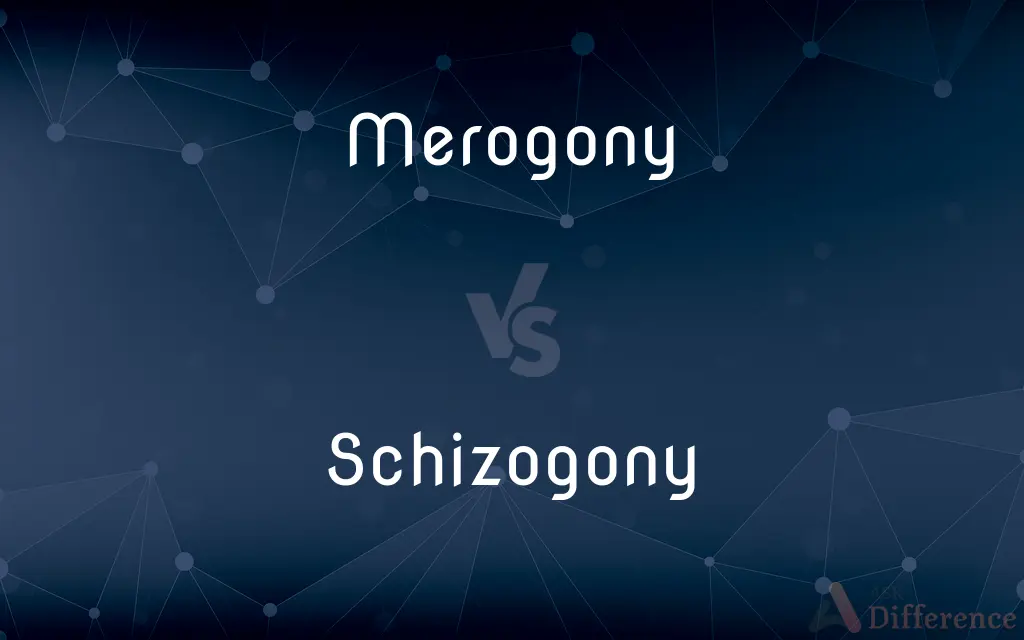 Merogony vs. Schizogony — What's the Difference?