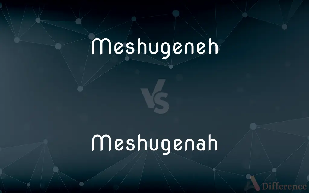 Meshugeneh vs. Meshugenah — What's the Difference?