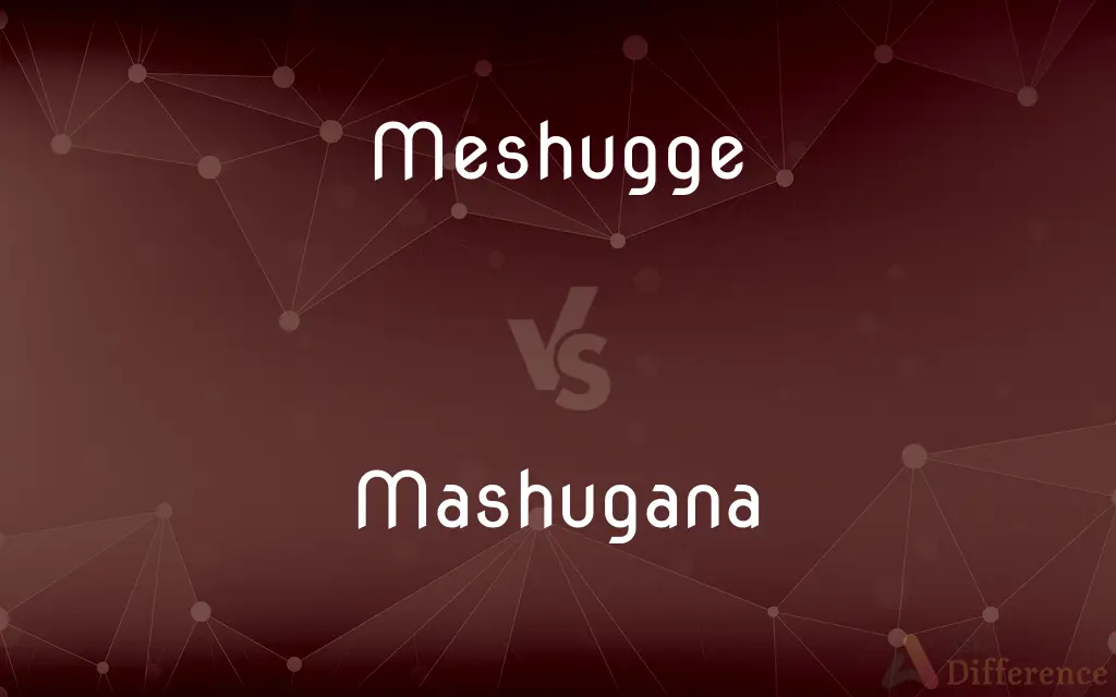 Meshugge vs. Mashugana — Which is Correct Spelling?