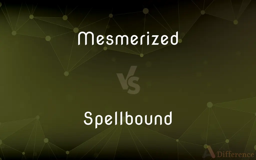 Mesmerized vs. Spellbound — What's the Difference?