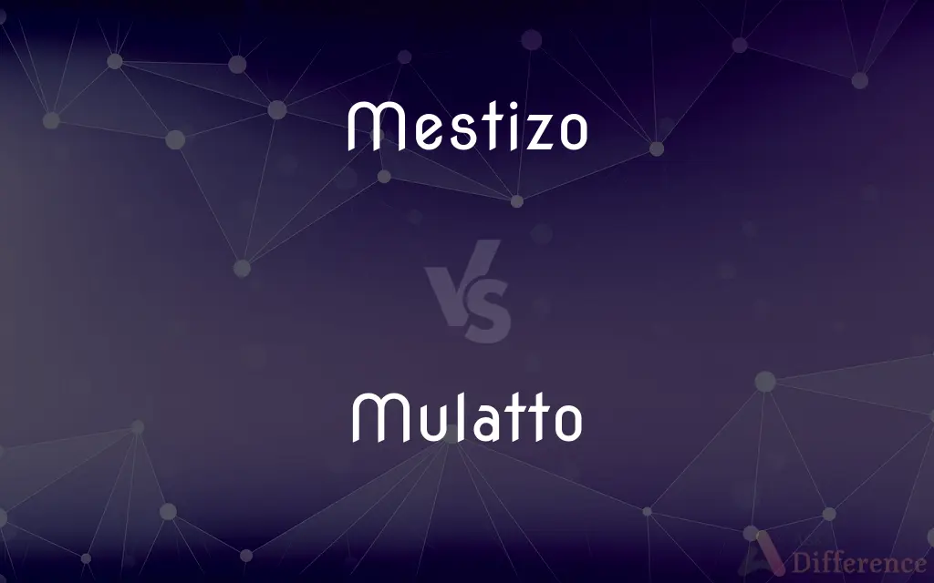 Mestizo vs. Mulatto — What's the Difference?