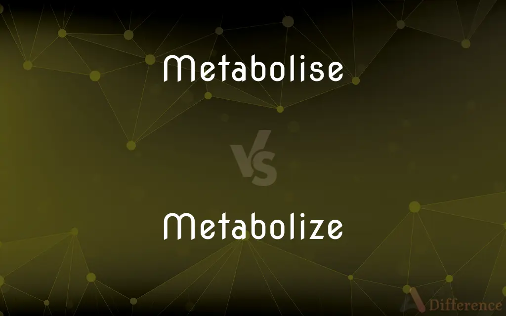 Metabolise vs. Metabolize — What's the Difference?