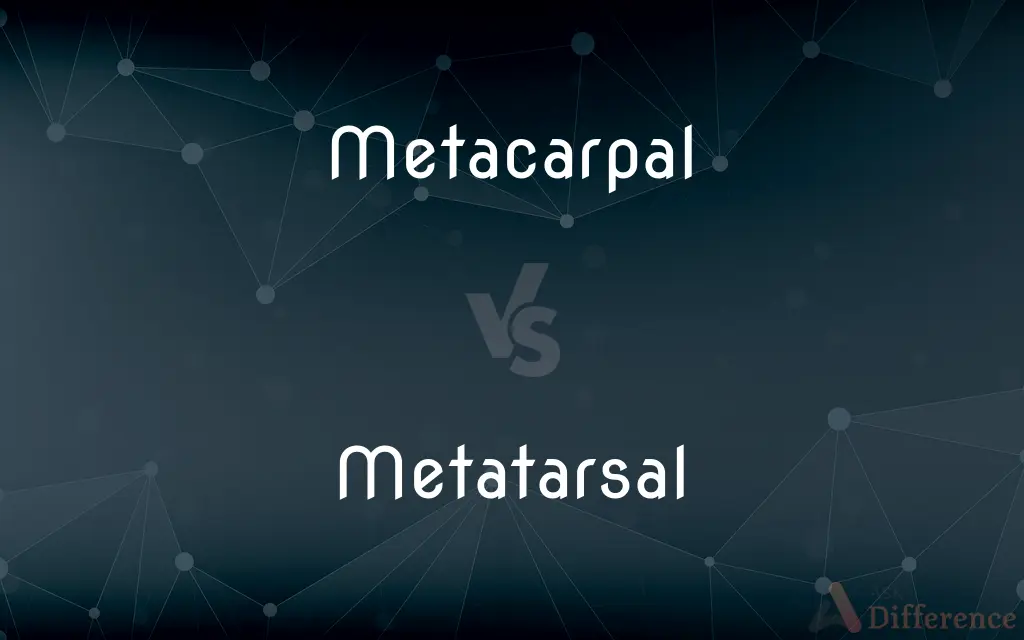 Metacarpal vs. Metatarsal — What's the Difference?