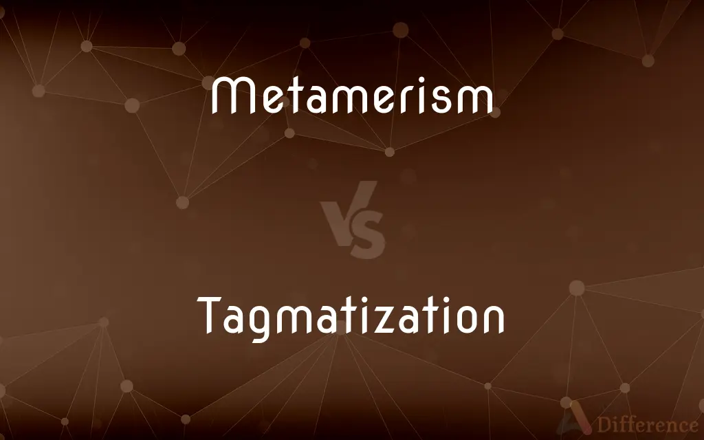 Metamerism vs. Tagmatization — What's the Difference?