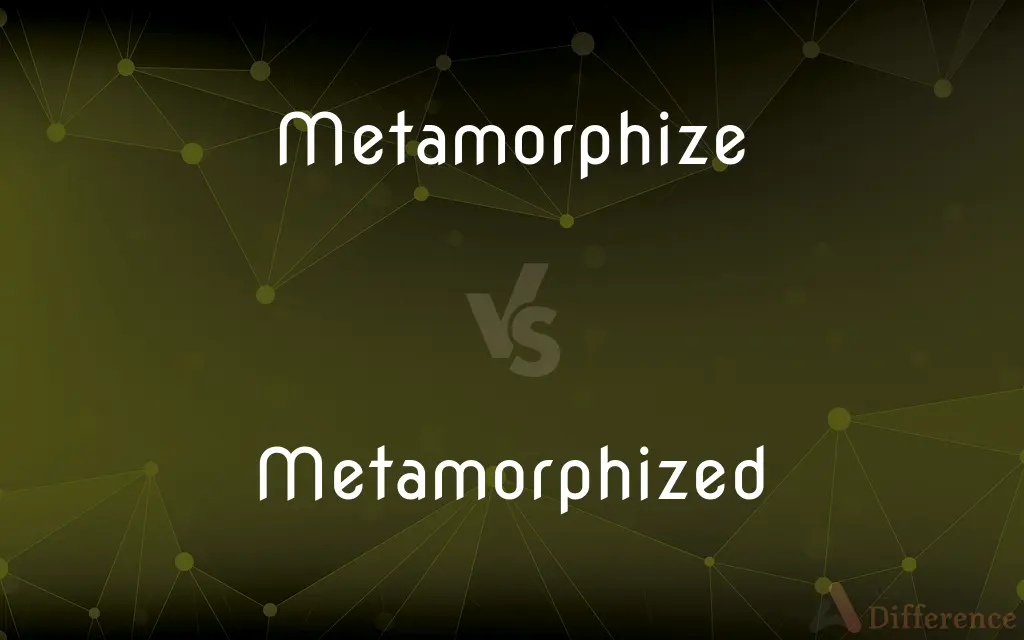Metamorphize vs. Metamorphized — What's the Difference?
