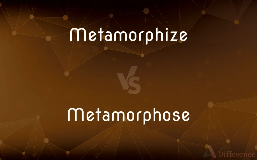 Metamorphize vs. Metamorphose — What's the Difference?