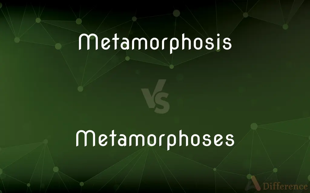 Metamorphosis vs. Metamorphoses — What's the Difference?