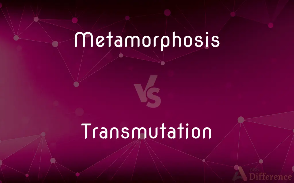 Metamorphosis vs. Transmutation — What's the Difference?