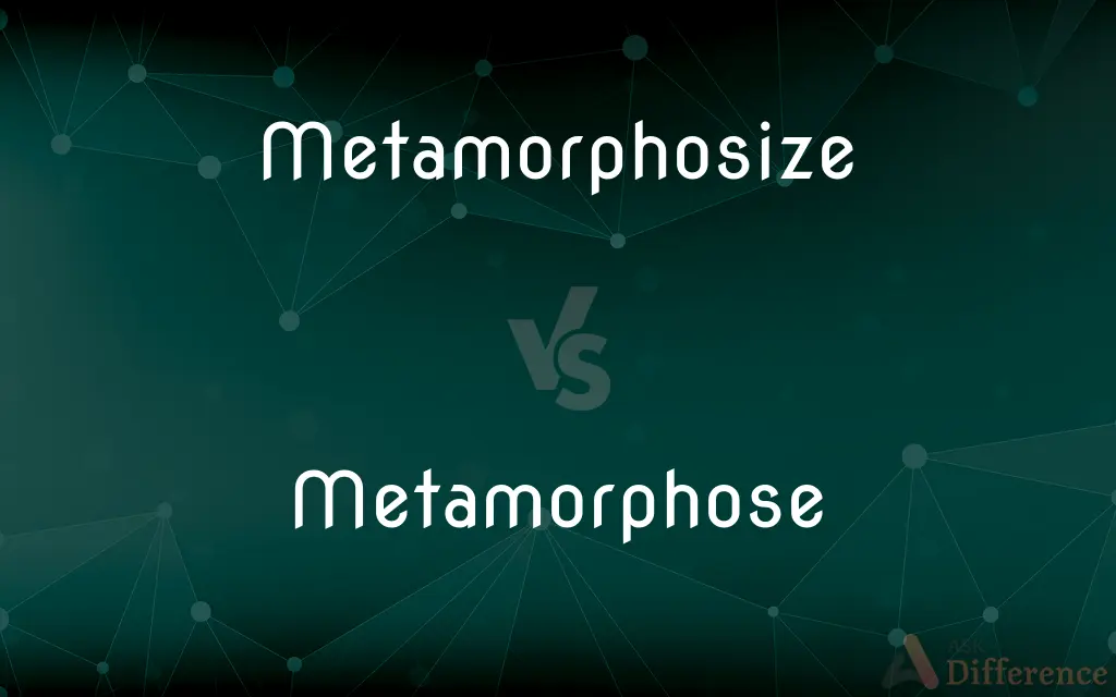 Metamorphosize vs. Metamorphose — Which is Correct Spelling?