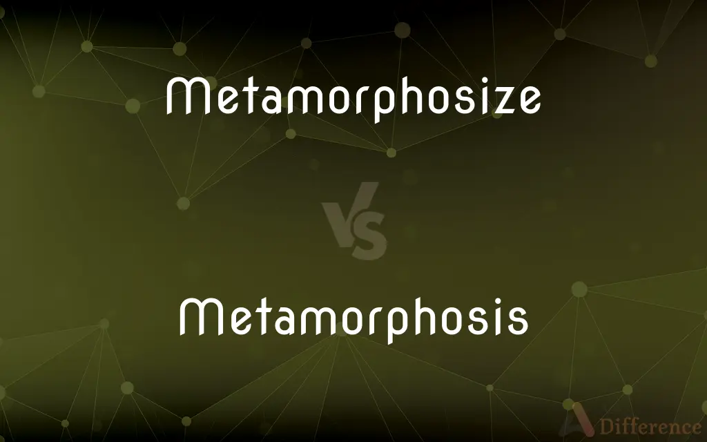 Metamorphosize vs. Metamorphosis — Which is Correct Spelling?