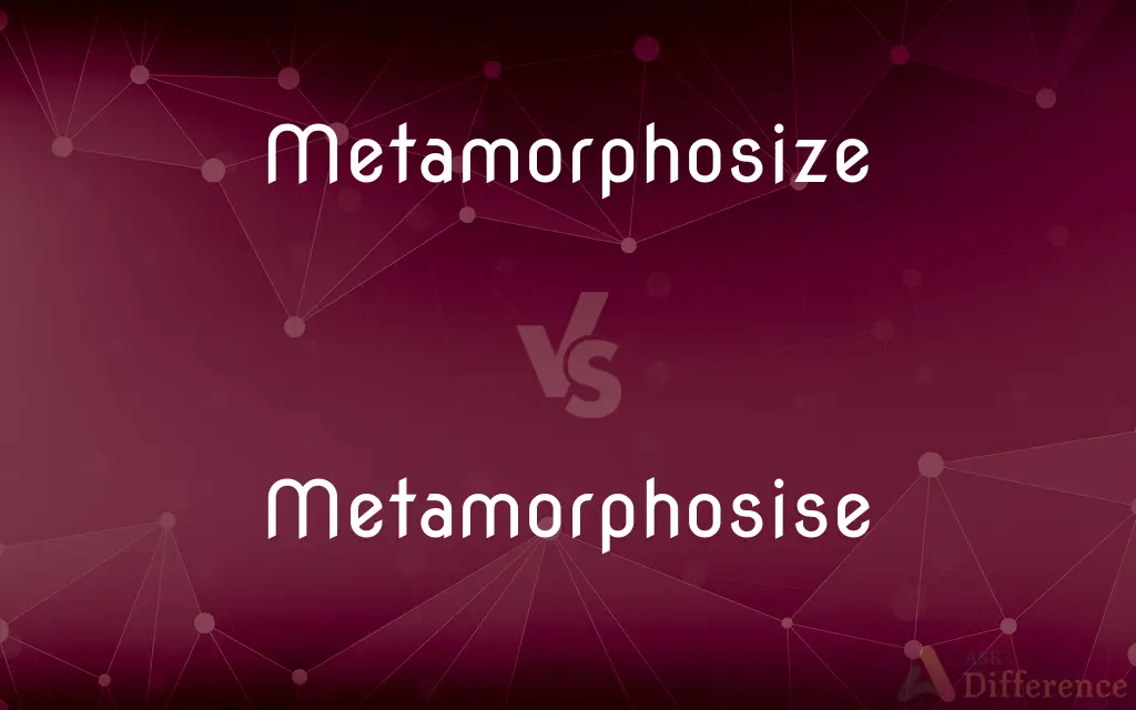 Metamorphosize vs. Metamorphosise — What's the Difference?