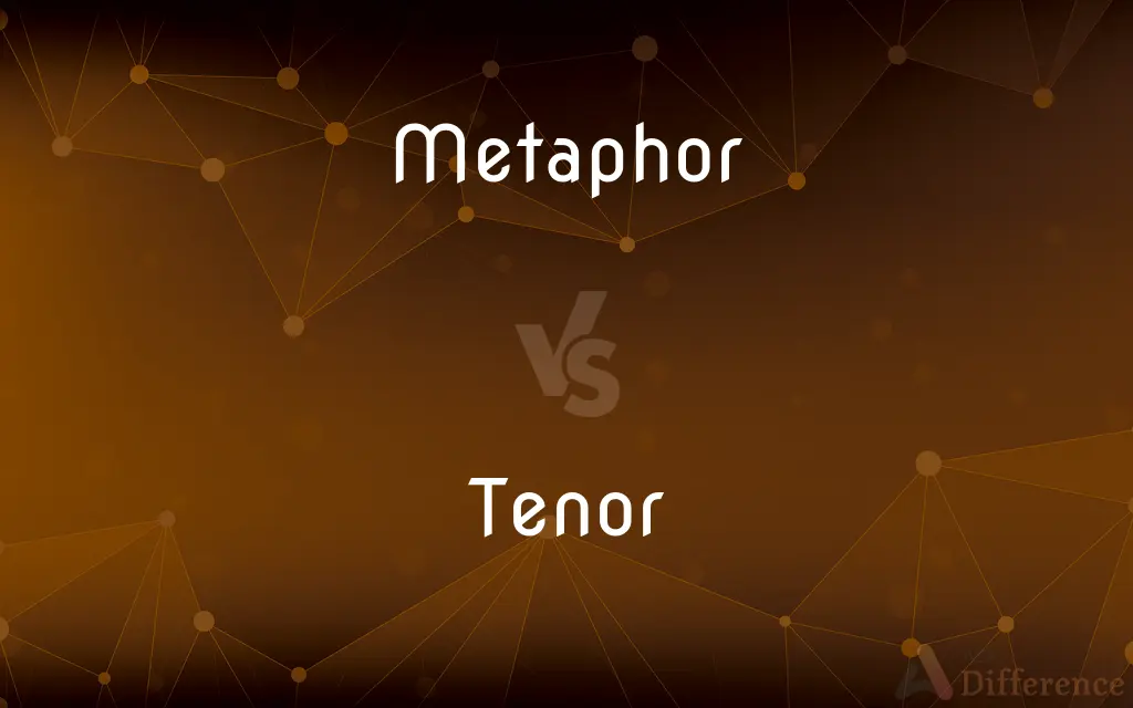 Metaphor vs. Tenor — What's the Difference?