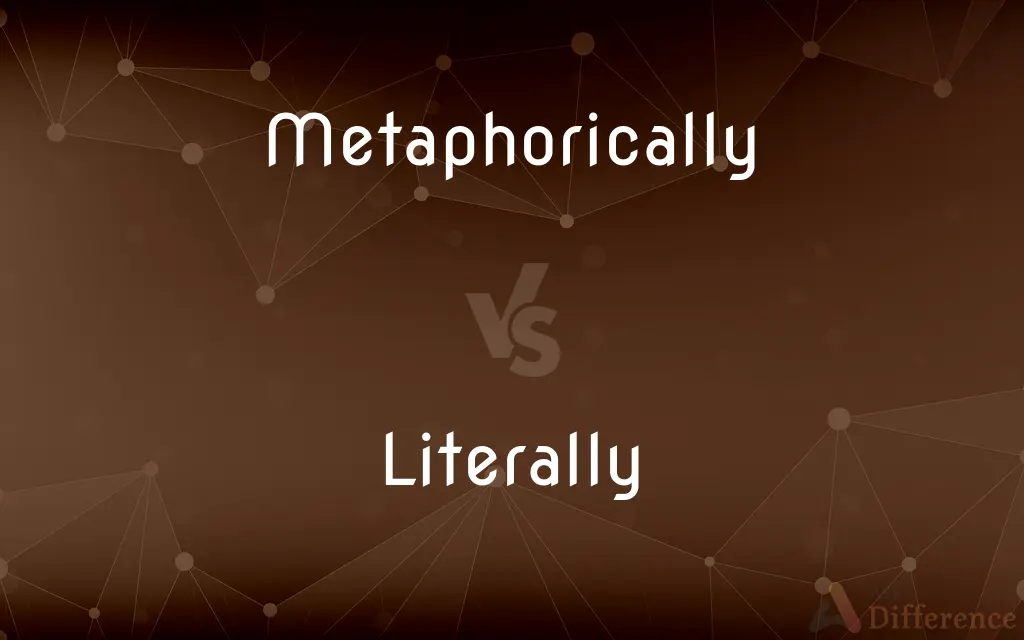 Metaphorically vs. Literally — What's the Difference?