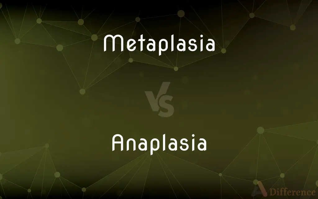 Metaplasia vs. Anaplasia — What's the Difference?