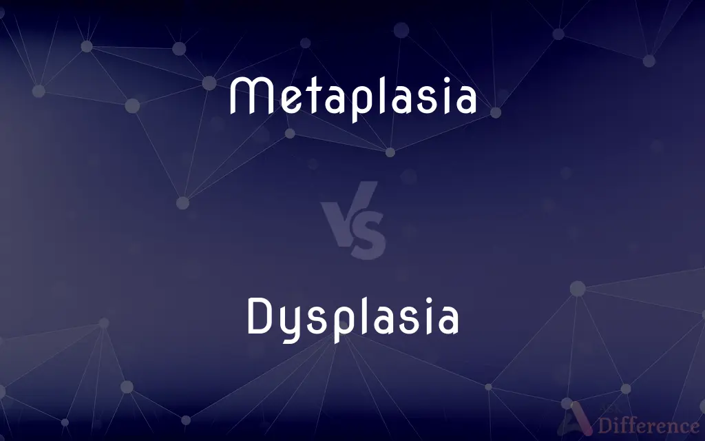 Metaplasia vs. Dysplasia — What's the Difference?
