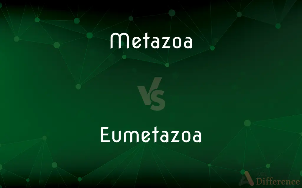 Metazoa vs. Eumetazoa — What's the Difference?