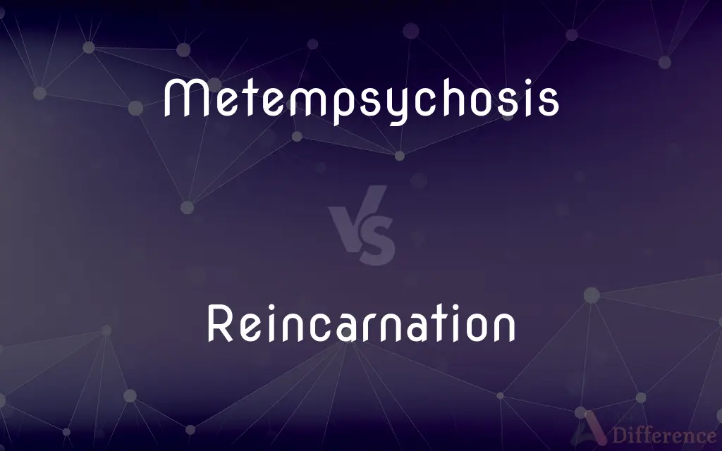 Metempsychosis vs. Reincarnation — What's the Difference?