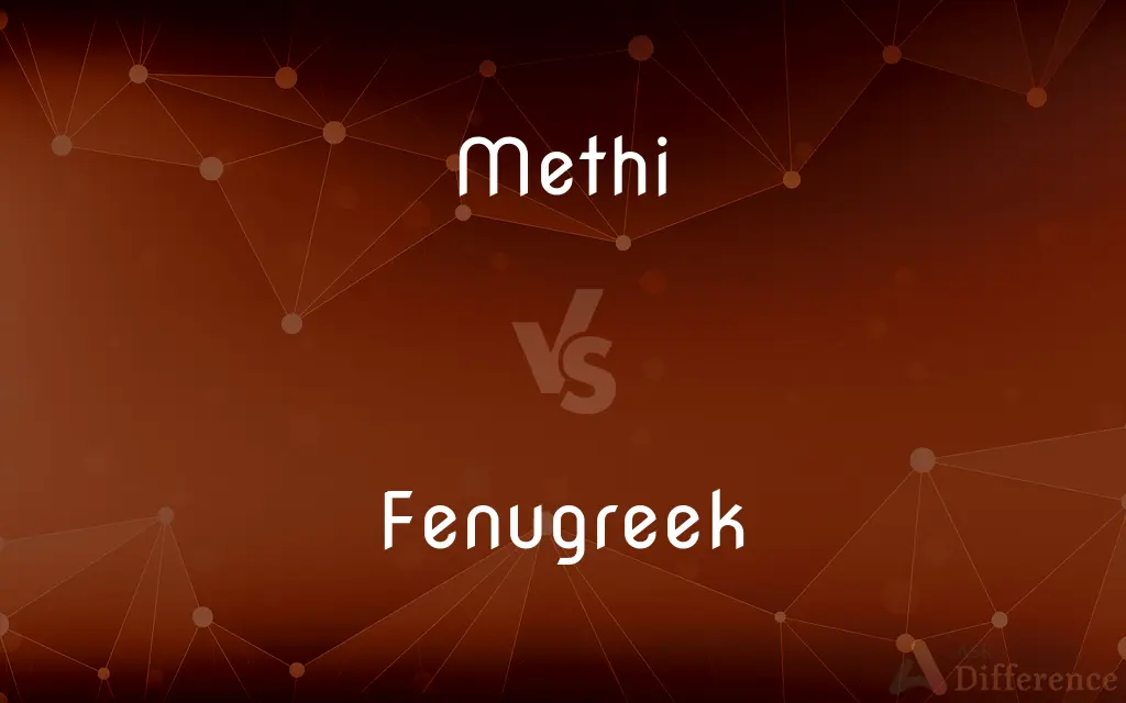 Methi vs. Fenugreek — What's the Difference?