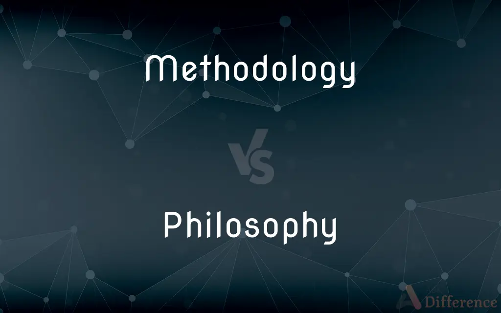 Methodology vs. Philosophy — What's the Difference?