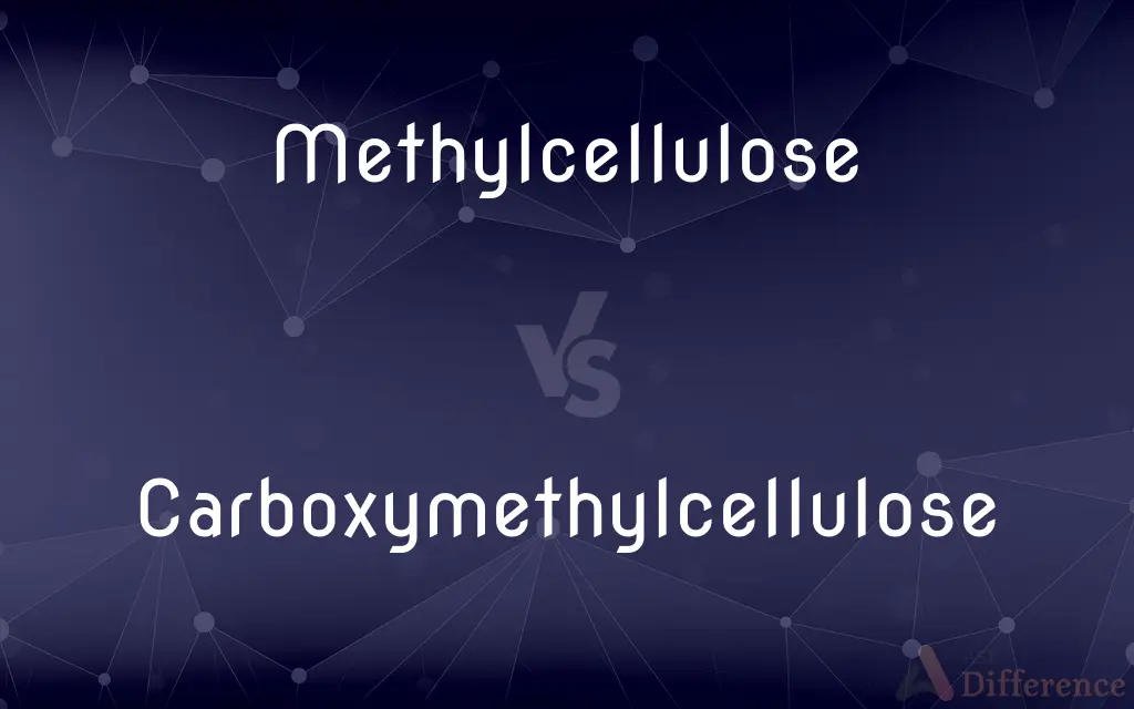 Methylcellulose vs. Carboxymethylcellulose — What's the Difference?