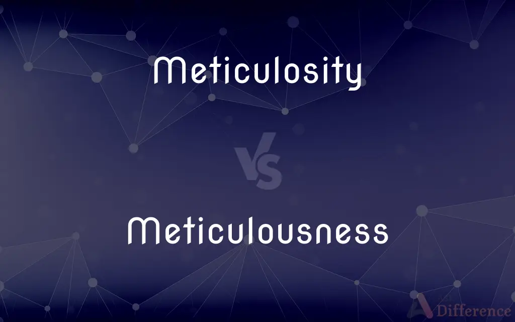 Meticulosity vs. Meticulousness — Which is Correct Spelling?