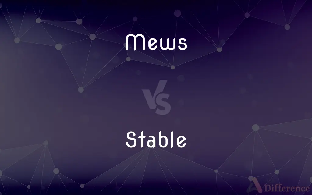 Mews vs. Stable — What's the Difference?