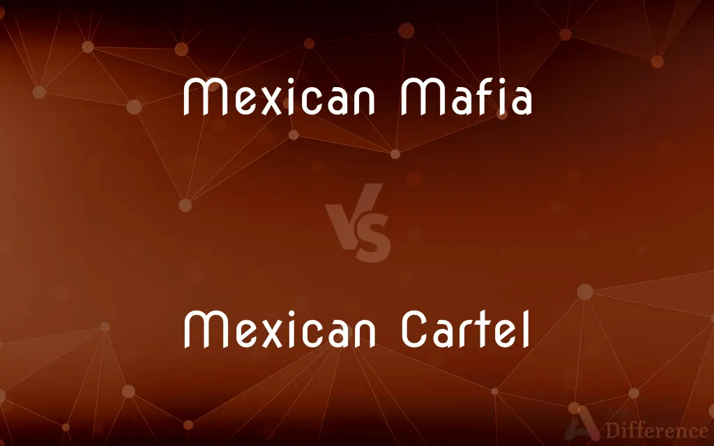Mexican Mafia vs. Mexican Cartel — What's the Difference?