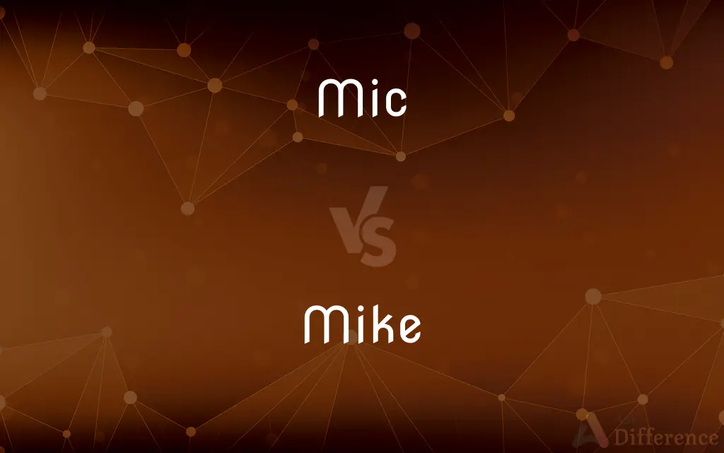 Mic vs. Mike — What's the Difference?