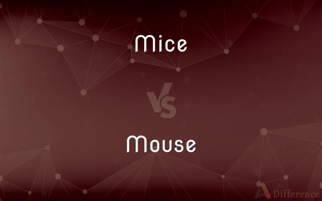 Mice vs. Mouse — What's the Difference?