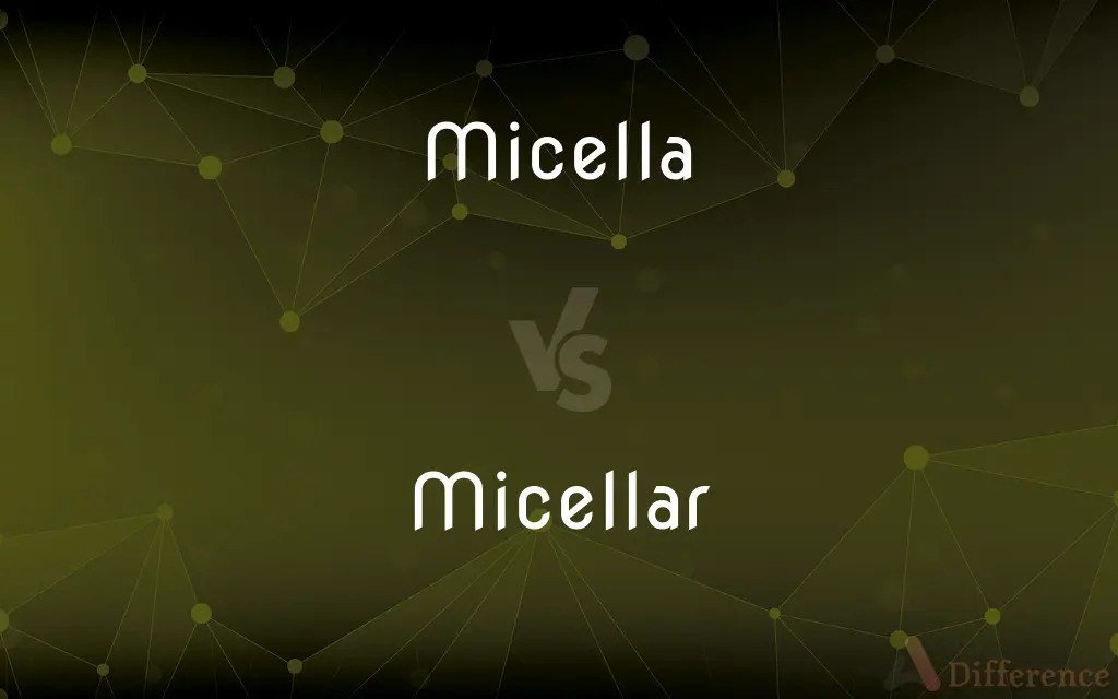 Micella vs. Micellar — What's the Difference?