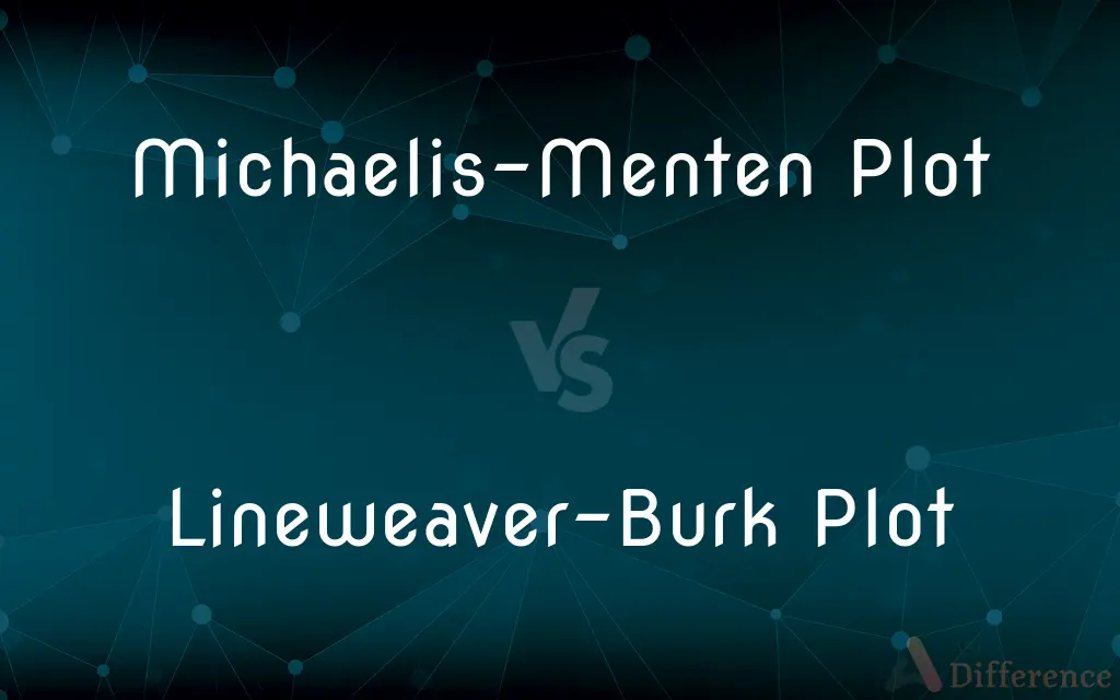 Michaelis-Menten Plot vs. Lineweaver-Burk Plot — What's the Difference?